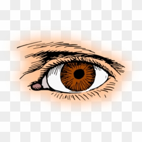 Eye Clipart, HD Png Download - eyes png