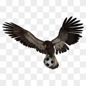 American Eagle Flying, HD Png Download - eagle png