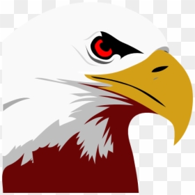 Bald Eagle Clip Art, HD Png Download - eagle png