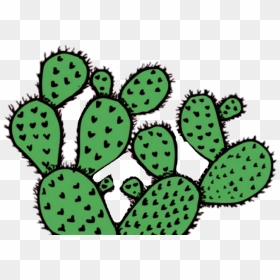 Stay Positive 🌵, HD Png Download - cactus png