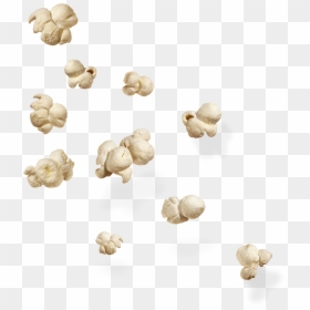 Popcorn Png, Transparent Png - popcorn png