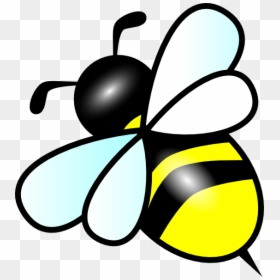 Transparent Background Bumble Bee Clip Art, HD Png Download - bee png