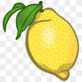 Clipart Limone, HD Png Download - lemon png