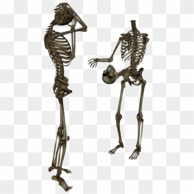 Surrenderdorothy Skeleton, HD Png Download - skeleton png