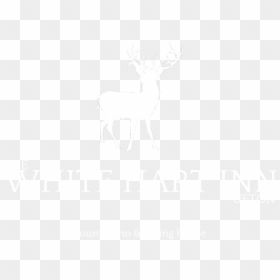Reindeer, HD Png Download - instagram png logo