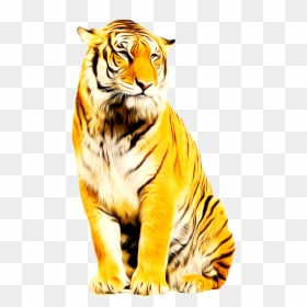 Hd Png Pic Lion, Transparent Png - tiger png
