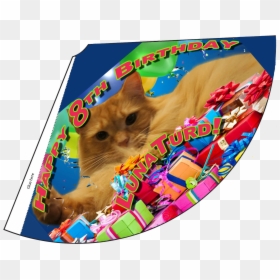Asian, HD Png Download - birthday hat png