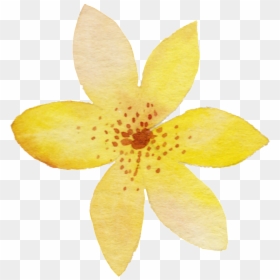 Yellow Watercolor Flower Png, Transparent Png - watercolor flowers png