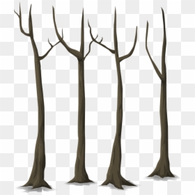 Tree Trunk Vector Png, Transparent Png - forest png