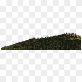 Transparent Mountain Png, Png Download - forest png
