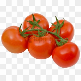 Tomatoes On The Vine Png, Transparent Png - vine png