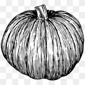 Pumpkin Black And White Transparent Background, HD Png Download - vine png