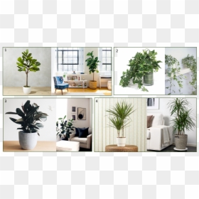 Interior Design, HD Png Download - vignette png