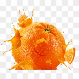 All Fruits Png, Transparent Png - orange png