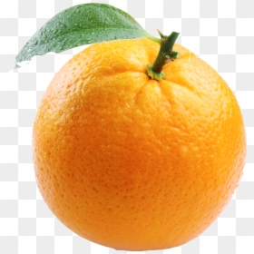 Orange Fruit White Background, HD Png Download - orange png