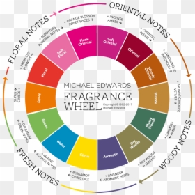 Fragrance Wheel, HD Png Download - orange png