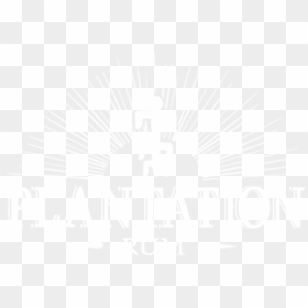 Plantation Rum T Shirt, HD Png Download - glass png
