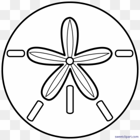 Sand Dollar Black And White, HD Png Download - sand clipart png