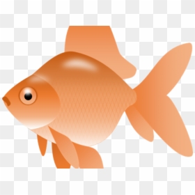 Transparent Goldfish Clipart, HD Png Download - goldfish cracker png