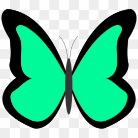 Blue Butterfly Clipart, HD Png Download - green butterfly png
