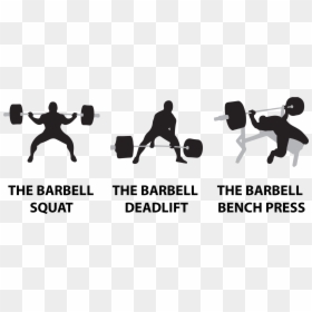 Squat Bench Deadlift Logo, HD Png Download - squat png