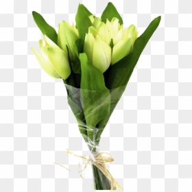Tulip Tattoo Designs, HD Png Download - green flowers png