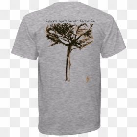 Adansonia, HD Png Download - cypress tree png