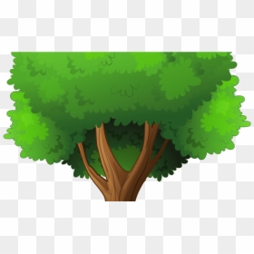 Transparent Transparent Background Transparent Trees, HD Png Download - cypress tree png