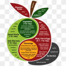 Perfect Health Diet, HD Png Download - diet png