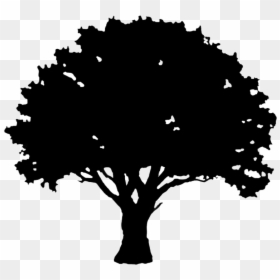 Simple Oak Tree Silhouette, HD Png Download - tree png silhouette