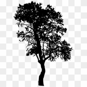 Tree Silhouette Png, Transparent Png - tree png silhouette