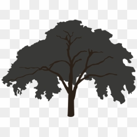 Forest Tree Silhouette Big, HD Png Download - tree png silhouette