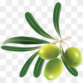 Olive Png, Transparent Png - olives png