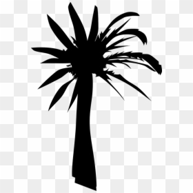 Palm Oil Tree Silhouette, HD Png Download - tree png silhouette