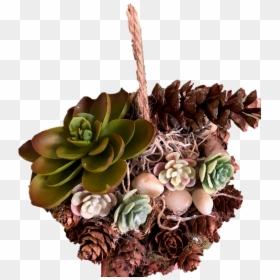 Echeveria, HD Png Download - stone bridge png
