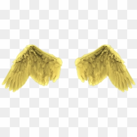 Gold Angel Wings Png, Transparent Png - gold angel wings png