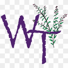 Women Of Joy Clipart, HD Png Download - weeping willow png