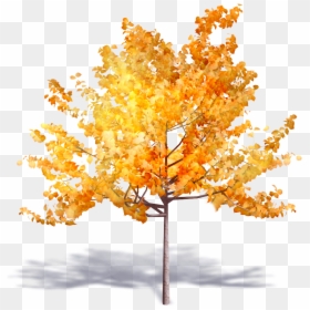 Autumn Tree Png, Transparent Png - deciduous tree png