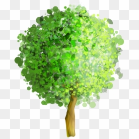 Png Watercolor Tree, Transparent Png - deciduous tree png