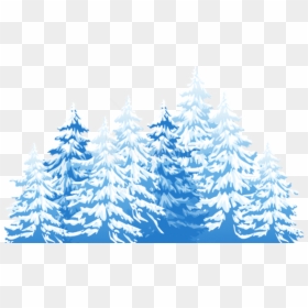 Blue Winter Pine Trees, HD Png Download - trees png images