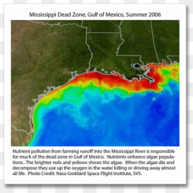 Gulf Of Mexico Hypoxia Zone, HD Png Download - dead space png