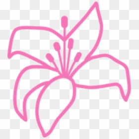 Lily Flower Icon, HD Png Download - youtube icon png transparent