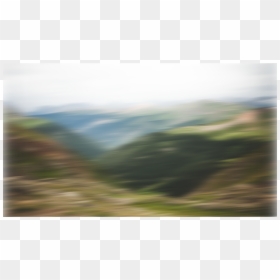 Tree, HD Png Download - grassy hill png