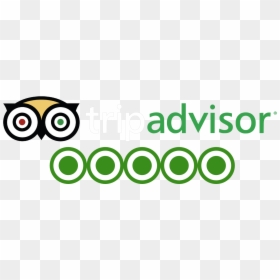 Circle, HD Png Download - trip advisor logo png