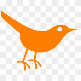 Transparent Background Cat Icon, HD Png Download - sparrow png