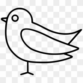 Line Art, HD Png Download - sparrow png