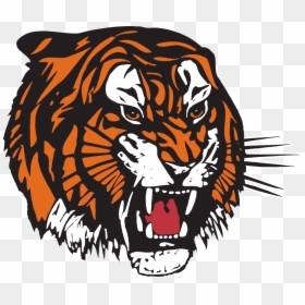 Medicine Hat Tigers Logo, HD Png Download - tiger.png
