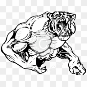 Auburn Tigers Tiger Muscle Sketch, HD Png Download - tiger.png