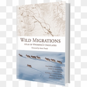 Wild Migrations Atlas Of Wyoming's Ungulates, HD Png Download - emily rudd png