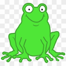 Cartoon Frog Transparent Background, HD Png Download - tree frog png